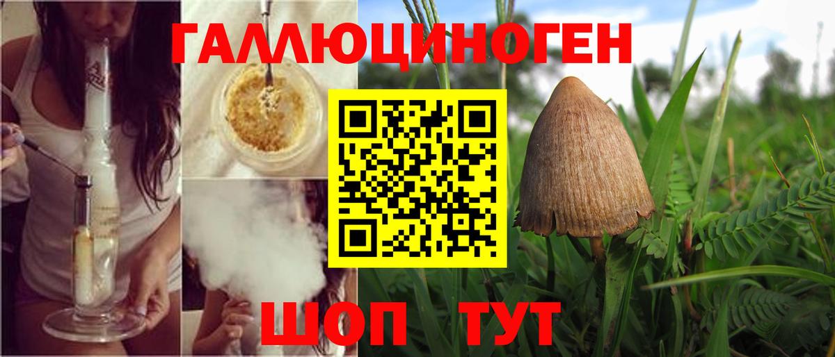 Псилоцибиновые грибы Magic Shrooms Тихвин